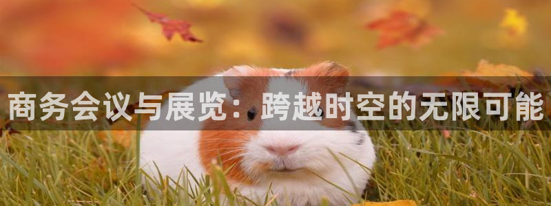 果博官网客服电话号码